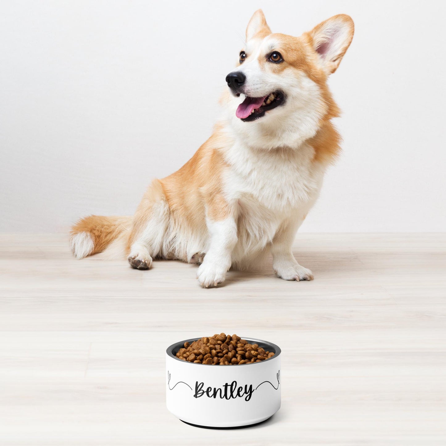 Personalized Pet bowl - Gifts for family